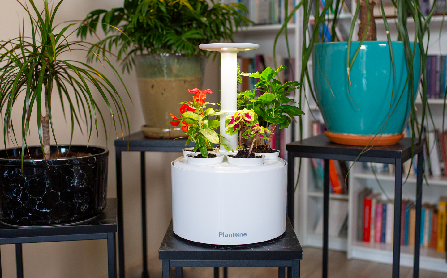 Plantone Smart Garden